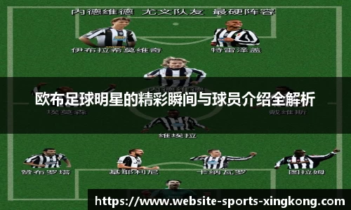 欧布足球明星的精彩瞬间与球员介绍全解析